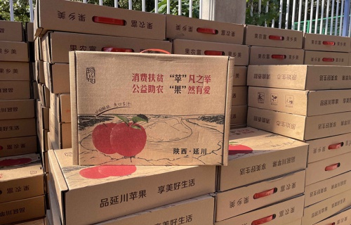 球速体育“扶贫助农，振兴乡村”活动